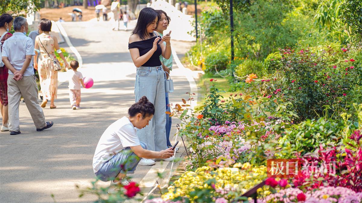 万象城娱乐开户